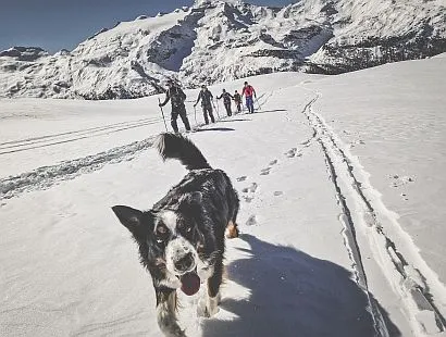 Skitourenwoche Ahrntal mit Bergführer